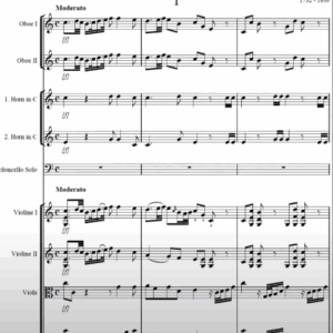 Haydn – Cello Concerto No 1 in C major – 1st mov – met 60